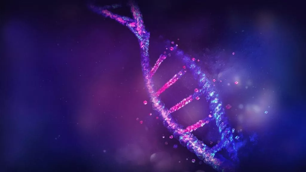 Watch the full discussion