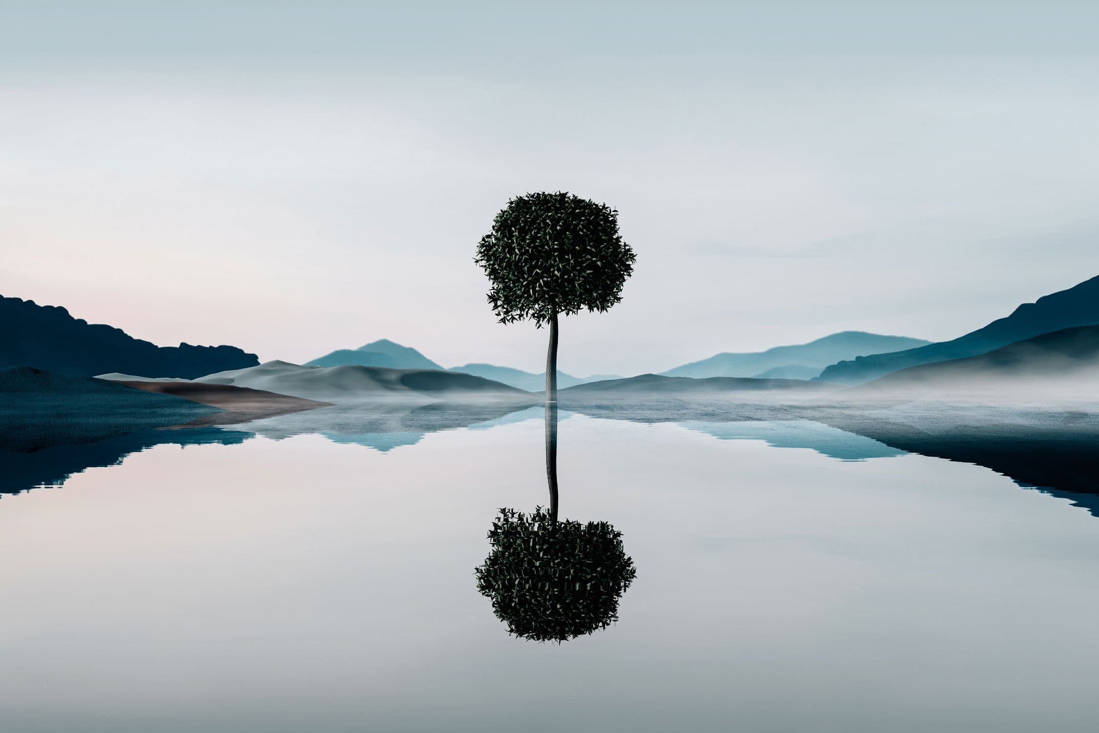 Tree with reflection on water