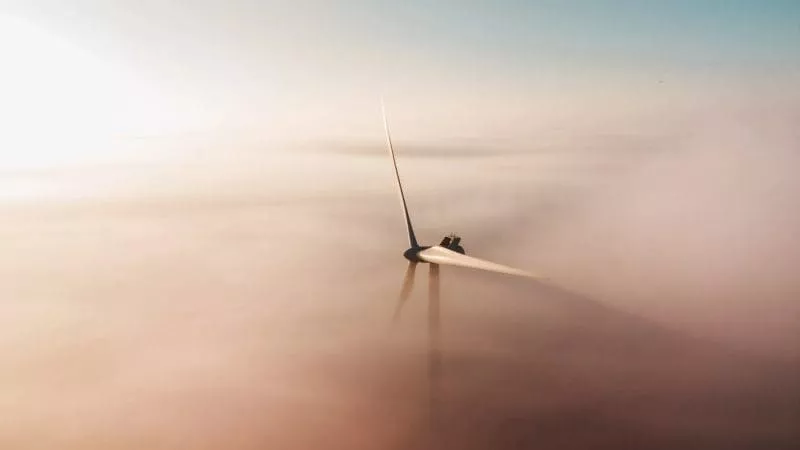 What CEOs across the globe think of purpose
