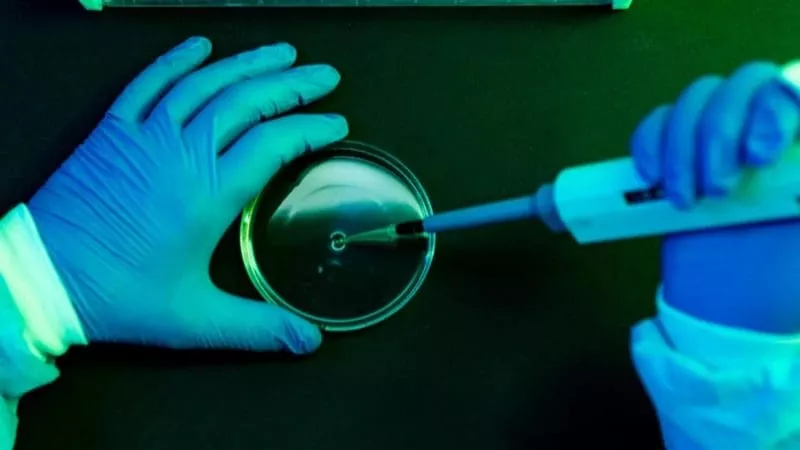 Impact Laboratories
