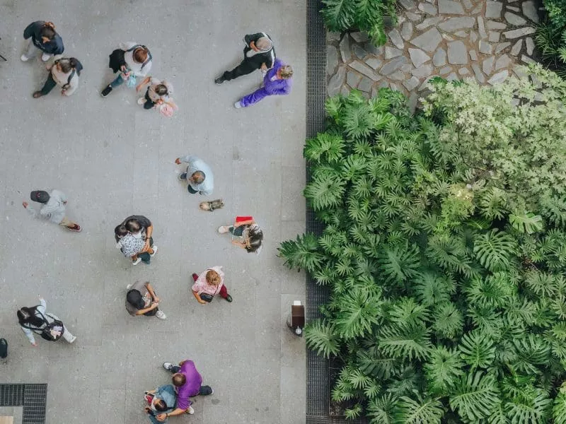 Overhead view of cyclists crossing a striped pedestrian crosswalk.