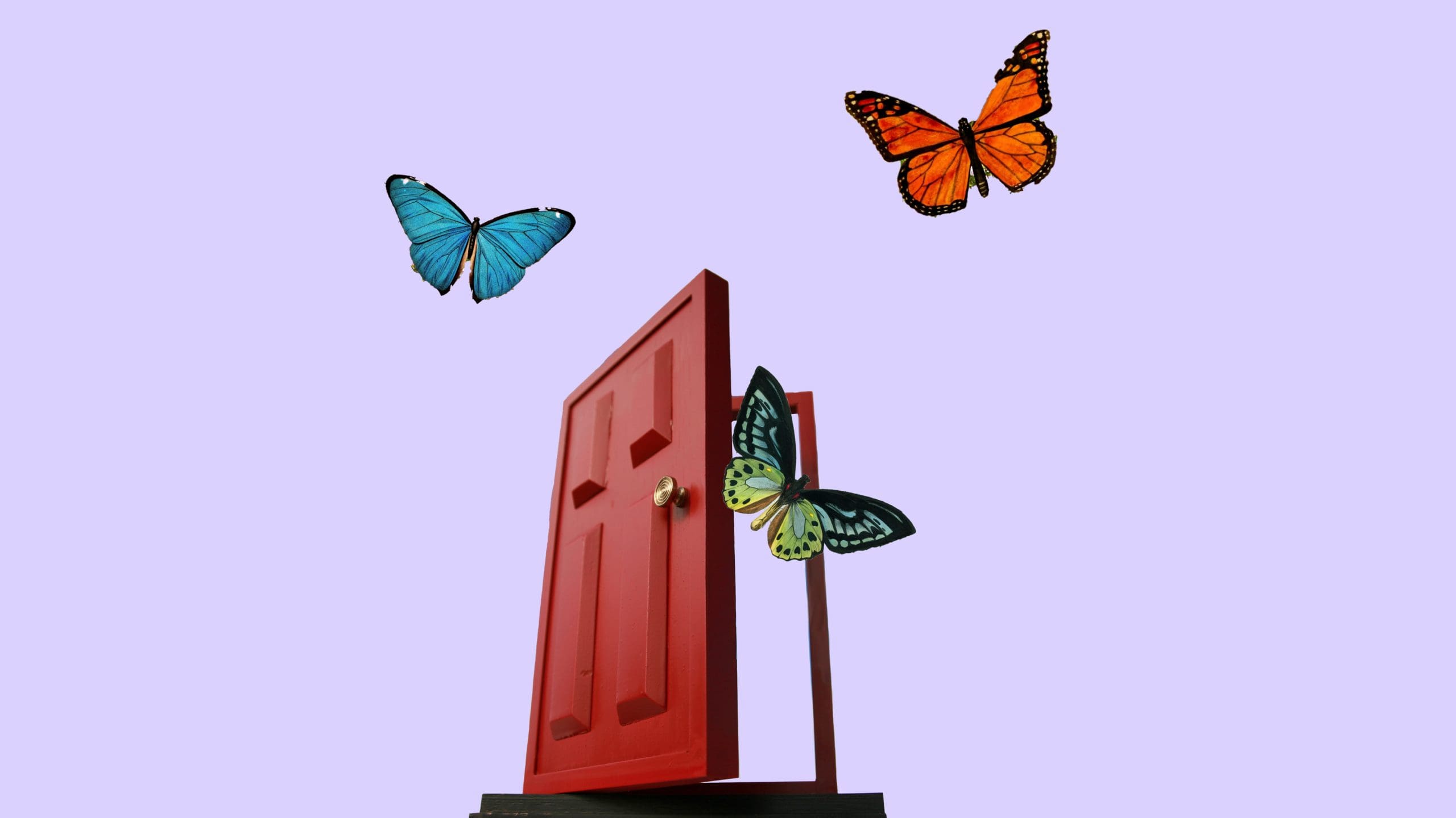 Open red door with butterflies flying around it against a light purple background.